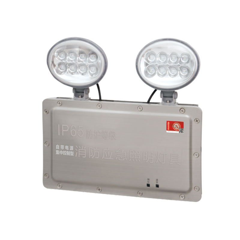 IP65防水型自电集控双头灯